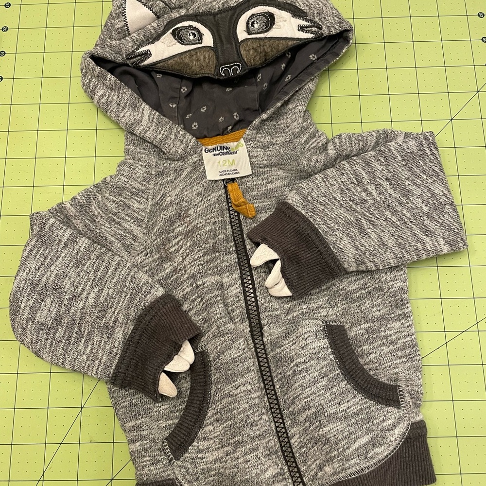 Charming Gray Raccoon Hoodie for Kids